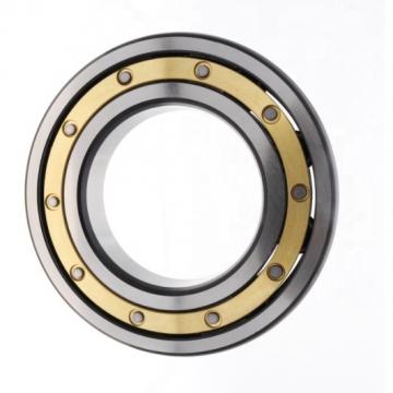 Famous Brand SKF Ball Bearings 6311 6312 6313 6314 6315 6316 6317 6318 6319 9320 6321 6322 -2RS1 Z 2z RS for Electric Motor Use